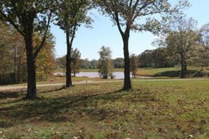 Property photo for land for sale in Howell County Missouri