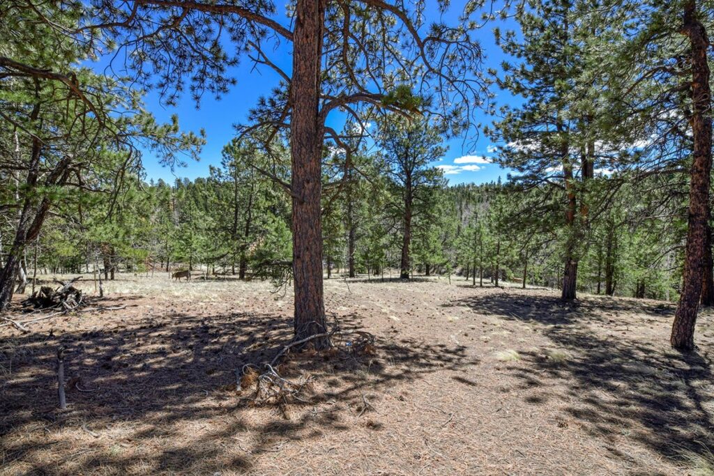 Property photo for land for sale in Teller County Colorado