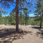 Property photo for land for sale in Teller County Colorado