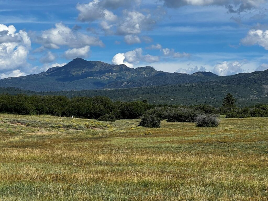 Property photo for land for sale in Rio Arriba County New Mexico