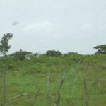 Property photo for land for sale in  County Panama