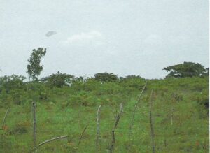 Property photo for land for sale in  County Panama