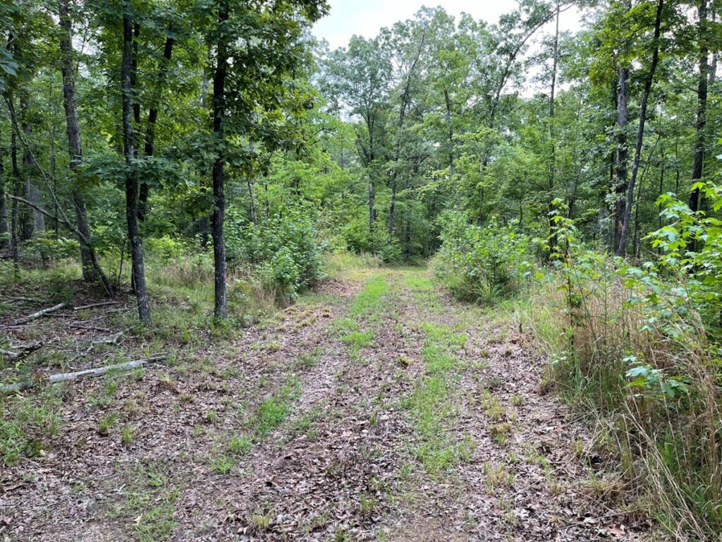 Property photo for land for sale in Searcy County Arkansas