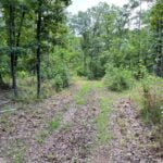 Property photo for land for sale in Searcy County Arkansas