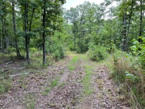 Property photo for land for sale in Searcy County Arkansas