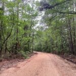 Property photo for land for sale in Calhoun County Arkansas