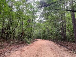 Property photo for land for sale in Calhoun County Arkansas