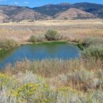 Property photo for land for sale in Modoc County California