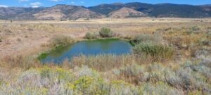 Property photo for land for sale in Modoc County California