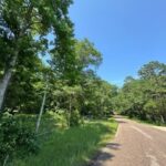 Property photo for land for sale in Harrison County Texas