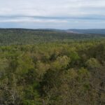 Property photo for land for sale in Pushmataha County Oklahoma