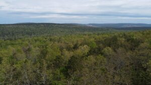 Property photo for land for sale in Pushmataha County Oklahoma