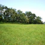 Property photo for land for sale in Wythe County Virginia