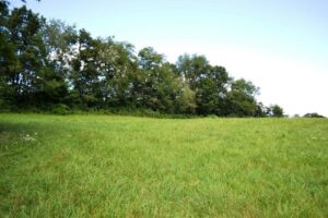 Property photo for land for sale in Wythe County Virginia