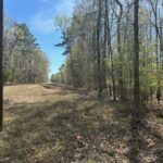 Property photo for land for sale in Butler County Alabama