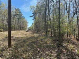 Property photo for land for sale in Butler County Alabama