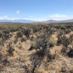 Property photo for land for sale in Elko County Nevada