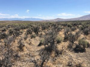 Property photo for land for sale in Elko County Nevada