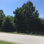 Property photo for land for sale in Boone County Arkansas