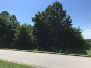 Property photo for land for sale in Boone County Arkansas