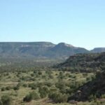 Property photo for land for sale in Guadalupe County New Mexico