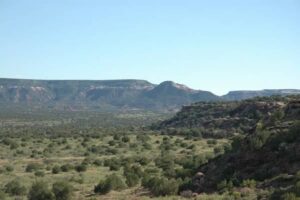 Property photo for land for sale in Guadalupe County New Mexico