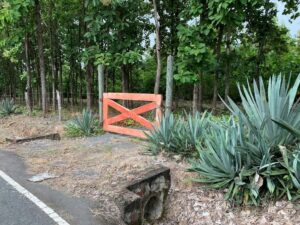 Property photo for land for sale in  County Panama