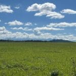 Property photo for land for sale in Montezuma County Colorado