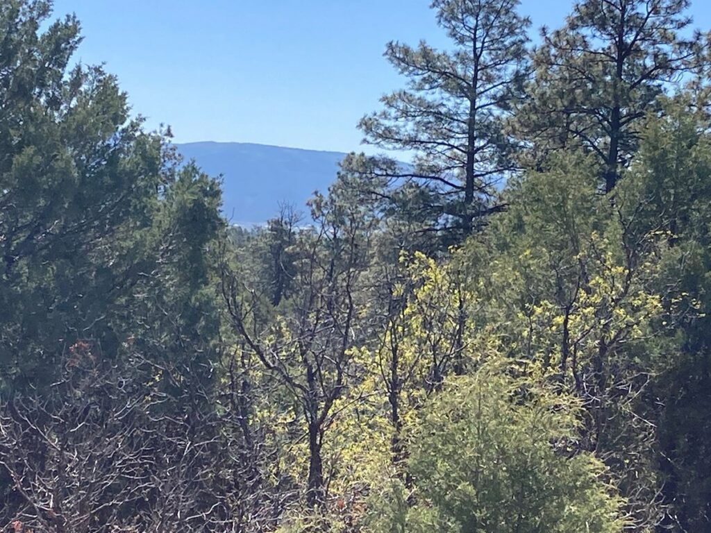 Property photo for land for sale in Rio Arriba County New Mexico