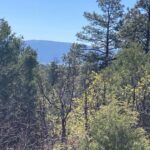 Property photo for land for sale in Rio Arriba County New Mexico