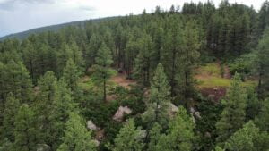 Property photo for land for sale in Rio Arriba County New Mexico