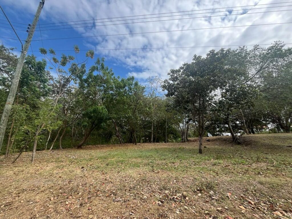 Property photo for land for sale in  County Panama