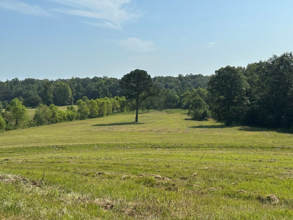 Property photo for land for sale in Crenshaw County Alabama