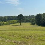 Property photo for land for sale in Crenshaw County Alabama