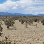 Property photo for land for sale in Santa Fe County New Mexico