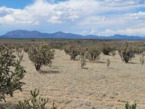 Property photo for land for sale in Santa Fe County New Mexico