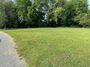 Property photo for land for sale in Clinton County Kentucky