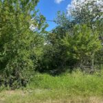 Property photo for land for sale in San Patricio County Texas