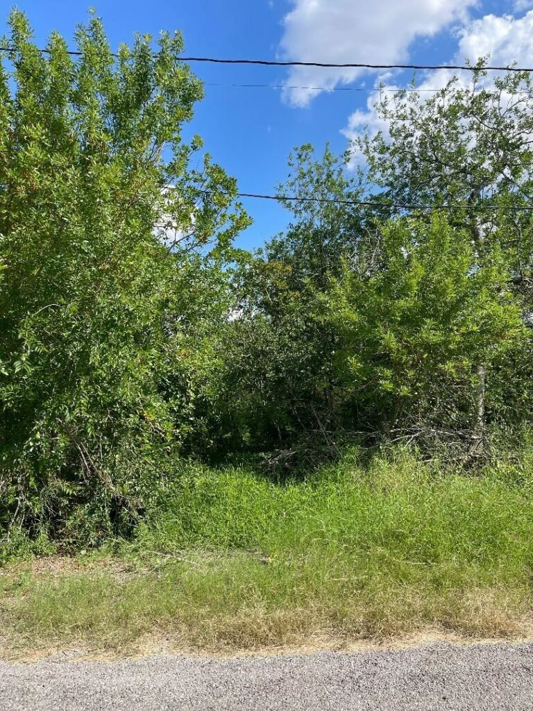 Property photo for land for sale in San Patricio County Texas