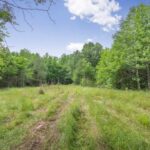 Property photo for land for sale in Hinds County Mississippi