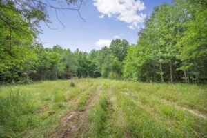 Property photo for land for sale in Hinds County Mississippi