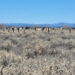 Property photo for land for sale in Torrance County New Mexico