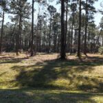 Property photo for land for sale in Carteret County North Carolina