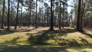 Property photo for land for sale in Carteret County North Carolina