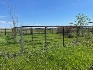 Property photo for land for sale in Navarro County Texas