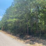 Property photo for land for sale in Hardin County Tennessee