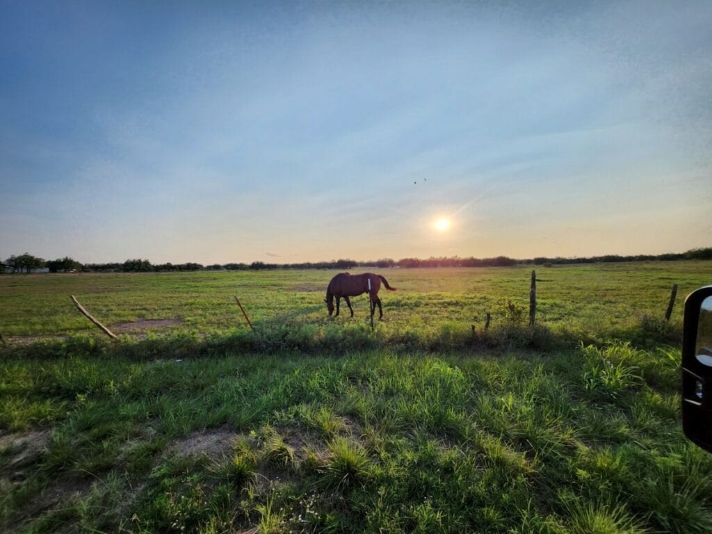 Property photo for land for sale in Menard County Texas