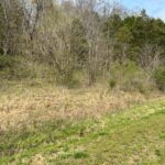 Property photo for land for sale in Cumberland County Kentucky