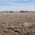 Property photo for land for sale in Torrance County New Mexico