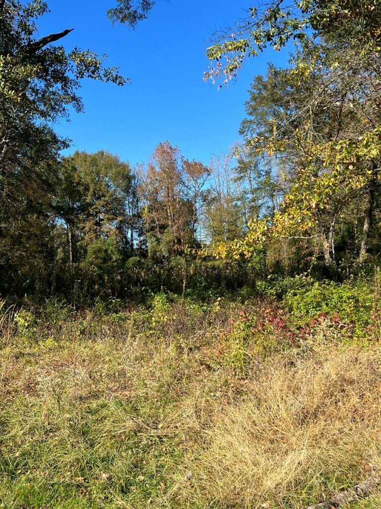 Property photo for land for sale in Cass County Texas